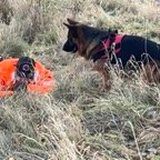 IMG_6016.jpeg
